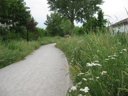 Eine naturnah gestaltete kleine öffentliche Grünanlage ist zum Beispiel der Ilvesheimer Weg im Gewerbegebiet „Hinter den Zäunen“.