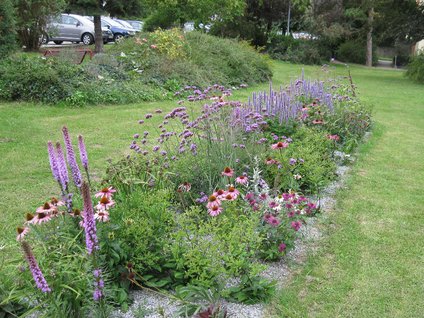 Die meisten Beete mit dünger- und wassergierigen Einjahresbepflanzungen wurden mit insektfreundlichen, mehrjährigen Blühern (Stauden) neu angelegt. Beispiel Altenwohnheim in der Saarlandstraße