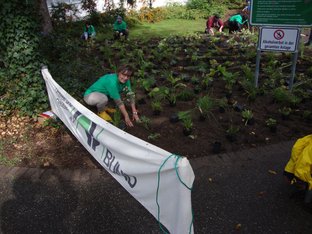 Die Mischstaudenpflanzung, die der BUND am Freiwilligentag angelegt hat, soll den Bürgern zeigen, dass es pflegeleichte, ökologisch bessere Alternativen zu einem geschotterten Vorgarten gibt. Die Mischstaudenpflanzung, die der BUND am Freiwilligentag angelegt hat, soll den Bürgern zeigen, dass es pflegeleichte, ökologisch bessere Alternativen zu einem geschotterten Vorgarten gibt.