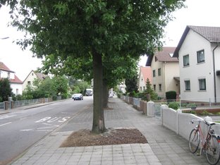 In einem Abschnitt der Kreuzstraße wurde musterhaft der überbreit Gehweg entsiegelt, die Baumbeete vergrößert und als Sickerfläche für die Hälfte der Straße ausgebildet. In einem Abschnitt der Kreuzstraße wurde musterhaft der überbreit Gehweg entsiegelt, die Baumbeete vergrößert und als Sickerfläche für die Hälfte der Straße ausgebildet.