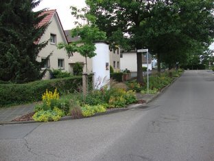 Überwiegend heimische Gehölze (Wolliger Schneeball, Liguster, Stachelbeeren …) und Stauden (Frauenmantel, Goldfelberich, Immergrün) versuchen den Spagat naturnahe und dekorative Pflanzung zu sein. Überwiegend heimische Gehölze (Wolliger Schneeball, Liguster, Stachelbeeren …) und Stauden (Frauenmantel, Goldfelberich, Immergrün) versuchen den Spagat naturnahe und dekorative Pflanzung zu sein.