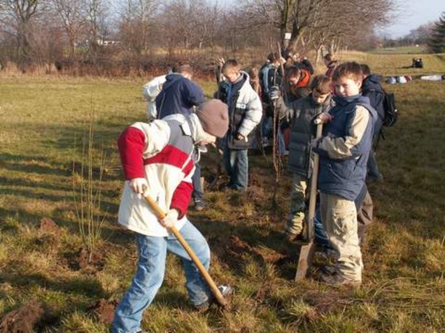 Schüler beim Anlegen der Feldhecke 1: Zuerst muss die Wiesennarbe durchstochen und dann ein ausreichend großes Pflanzloch in dem lehmigen Boden ausgehoben werden. Schüler beim Anlegen der Feldhecke 1: Zuerst muss die Wiesennarbe durchstochen und dann ein ausreichend großes Pflanzloch in dem lehmigen Boden ausgehoben werden.