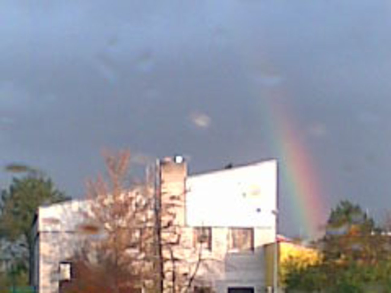 Bild Arche Noah Bild Arche Noah