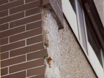 Fassadenschaden 07 Fassadenschaden 07