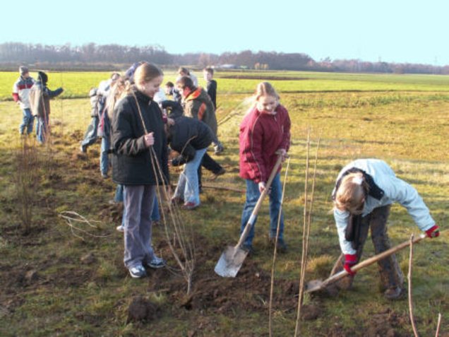 Schüler beim Anlegen der Feldhecke 2: Beim Verfüllen ist es wichtig die Erde fest anzudrücken, damit sie mit den Wurzeln genügend Kontakt bekommt. Schüler beim Anlegen der Feldhecke 2: Beim Verfüllen ist es wichtig die Erde fest anzudrücken, damit sie mit den Wurzeln genügend Kontakt bekommt.