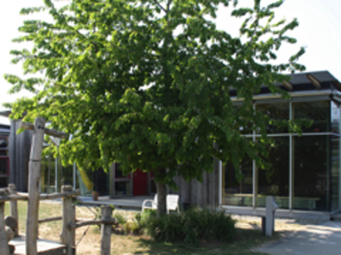 Bild: Kita Gänseblümchen Bild: Kita Gänseblümchen