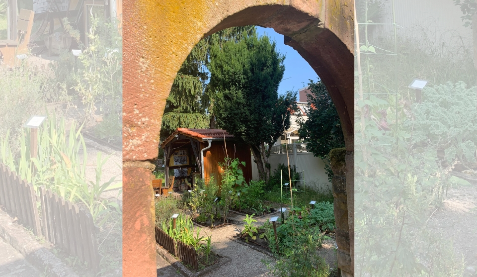Durch einen gemauerten Torbogen fällt der Blick in den Gemüsegarten des Museums. Kleine Beete mit verschiedenen Gemüsepflanzen und Kräutern sind ordentlich angelegt und von schmalen Wegen durchzogen. Im Hintergrund steht eine kleine hölzerne Gartenhütte mit rotem Ziegeldach, umgeben von Bäumen und Sträuchern. Sonnenlicht beleuchtet den grünen Garten und sorgt für eine ruhige, idyllische Atmosphäre.