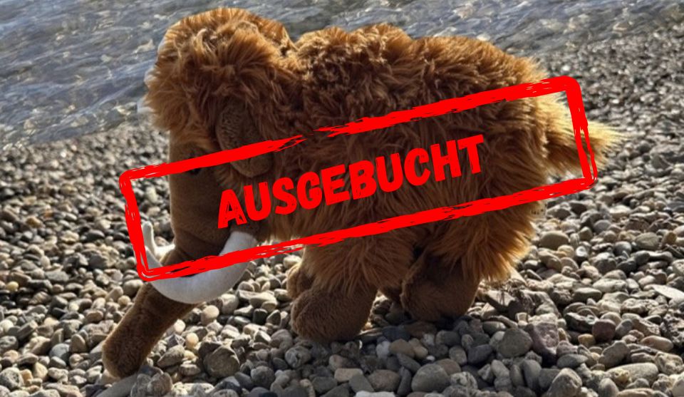 Ein braunes Plüschmammut mit langem, zotteligem Fell, großen Ohren, einem Rüssel und weißen, gebogenen Stoßzähnen steht auf einem Kiesweg. Im Hintergrund ist Wasser zu sehen. Darüber der Schriftzug "Ausgebucht"