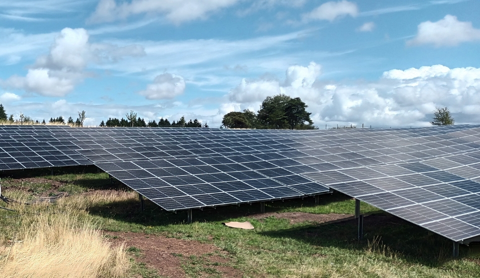 Stadtwerke Viernheim Starten Projekt F r Photovoltaik Freifl chenanlage 