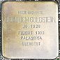 Heinrich Goldstein, Jg. 1928, Flucht 1933, Palästina, überlebt Heinrich Goldstein, Jg. 1928, Flucht 1933, Palästina, überlebt