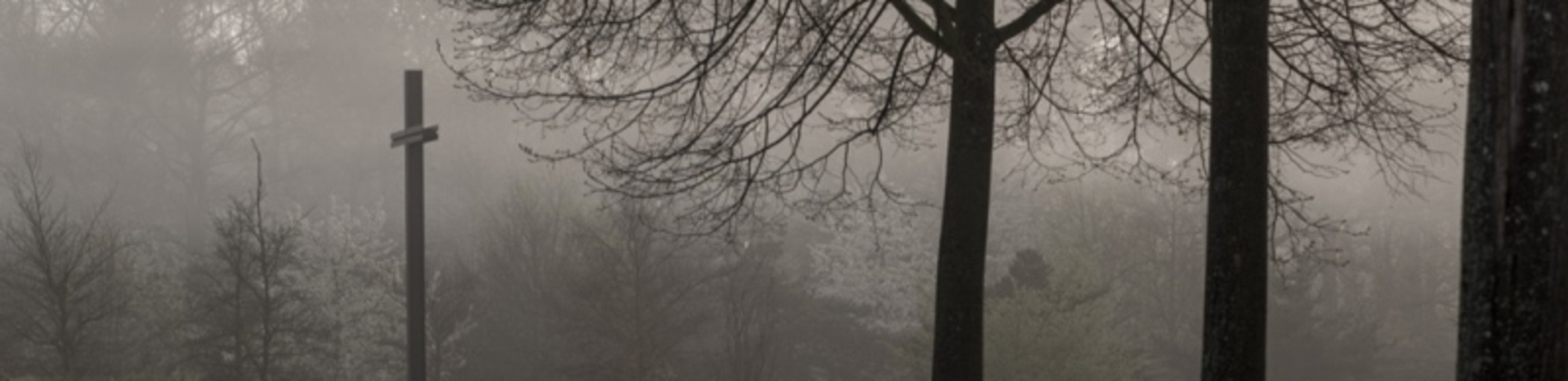 Waldfriedhof Waldfriedhof