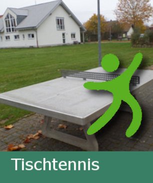 Tischtennisplatte Tischtennisplatte