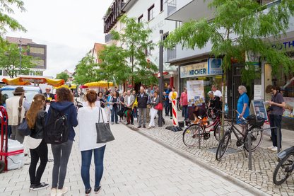 Verlegung 2017 Steine für Familie Sternheimer Verlegung 2017 Steine für Familie Sternheimer