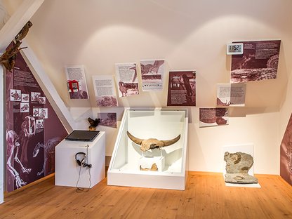 Anfänge der Erdgeschichte mit Medienstation zu Methoden der Archäologie Anfänge der Erdgeschichte mit Medienstation zu Methoden der Archäologie Sprichwörter aus dem Mittelalter