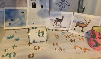 Auf Papier sind Tierspuren von Pferd, Reh, Fuchs und andere gemalt, im Hintergrund stehen Bilder mit Reh und Hirsch