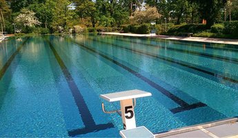 Zu sehen ist ein großes, rechteckiges Schwimmbecken im Freien, das ruhig und leer wirkt. Im klaren, blau schimmernden Wasser sind mehrere dunkle Bahnen auf dem Beckenboden zu erkennen, die parallel verlaufen. Am vorderen Beckenrand steht ein Startblock mit der gut sichtbaren Zahl „5“. Rund um das Becken verläuft ein heller Beckenrand mit Rinnenabdeckung. Auf der gegenüberliegenden Seite befinden sich Sitzbänke und ein kleines Schild, das jedoch aus der Entfernung nicht lesbar ist. Das Becken ist von dichtem Grün umgeben: Bäume, Sträucher und blühende Pflanzen rahmen die Anlage ein. Das Wasser wirkt klar und leicht bewegt, wodurch sich Lichtreflexe auf der Oberfläche bilden. Die Szene ist hell und sonnig, der Himmel spiegelt sich teilweise im Wasser. Menschen sind nicht zu sehen. Es handelt sich um das Schwimmerbecken im Viernheimer Waldschwimmbad.