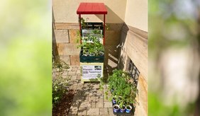 Ein kleines, rotes Holzregal steht draußen an einer Hauswand auf gepflastertem Boden. Darin und daneben befinden sich mehrere kleine Pflanzen in Töpfen, teilweise in Getränkebechern. Auf dem Regal ist ein Schild mit der Aufschrift „Pflanzen-Tauschregal“ angebracht. Rechts daneben stehen weitere Pflanzensetzlinge auf einem Tablett. Die Szene ist sonnig, und die Pflanzen werfen Schatten auf den Boden.