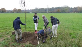 Kinder und Jugendliche die an einem Graben Bäume pflanzen