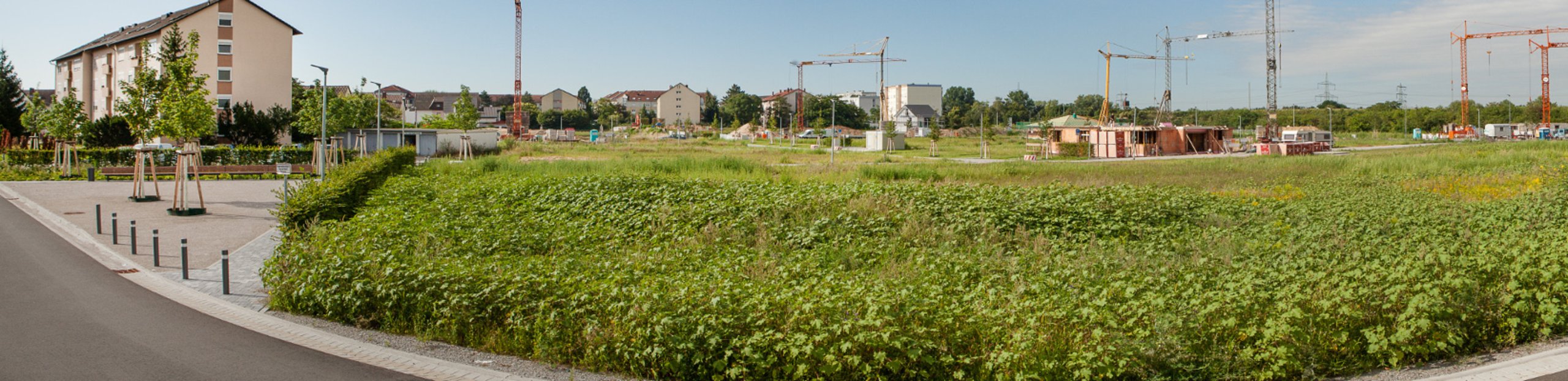 Straße mit Grünstreifen