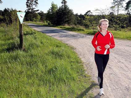 Panzerstraße Panzerstraße