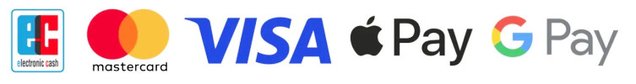 Leiste mit Bezahlmöglichkeiten, EC, Mastercard, Visa, Apple Pay und Google Pay