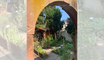 Durch einen gemauerten Torbogen fällt der Blick in den Gemüsegarten des Museums. Kleine Beete mit verschiedenen Gemüsepflanzen und Kräutern sind ordentlich angelegt und von schmalen Wegen durchzogen. Im Hintergrund steht eine kleine hölzerne Gartenhütte mit rotem Ziegeldach, umgeben von Bäumen und Sträuchern. Sonnenlicht beleuchtet den grünen Garten und sorgt für eine ruhige, idyllische Atmosphäre.