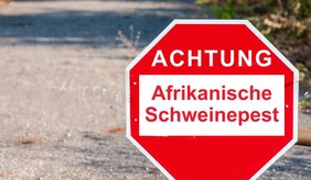 Rotes Schild mit weißer Schrift Afrikanischen Schweinepest