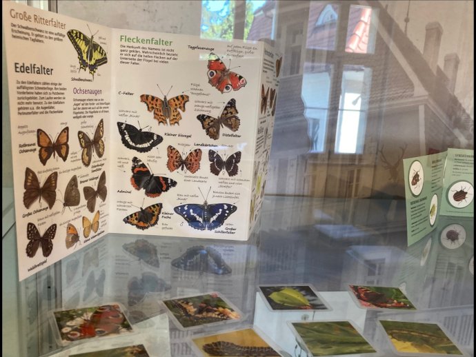 schuelerbetreuungffs3