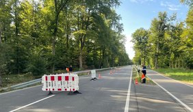 Eine gerade Straße führt durch ein dicht bewaldetes Gebiet. Mehrere weiß-rote Absperrgitter und orangefarbene Verkehrskegel sperren einen Teil der Fahrbahn ab. Zwei Personen stehen am Straßenrand und halten rot-gelbe Warnflaggen. Die Aufnahme zeigt eine Straßensperrung in einem Waldgebiet.