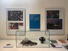 Blick in die Ausstellung: Austellungsvitrine