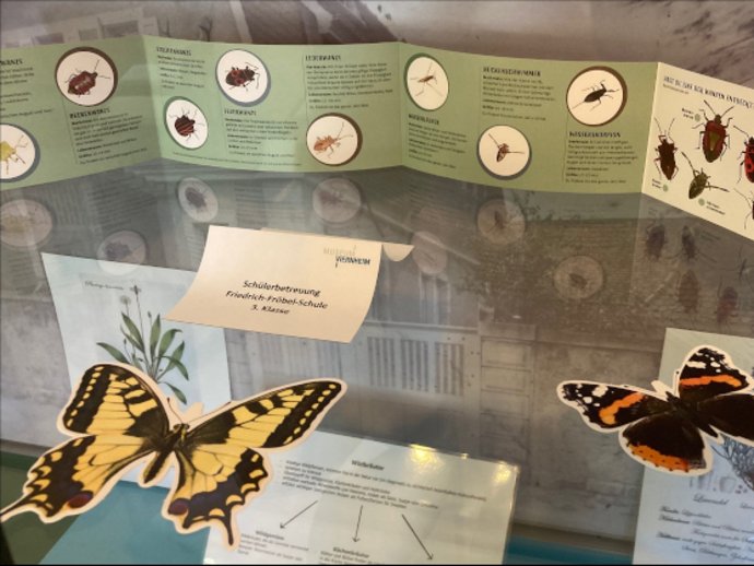 schuelerbetreuungffs