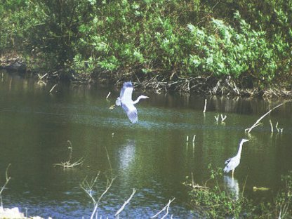 Oberlücke Oberlücke