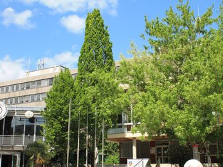 Gebäude mit Bäumen davor