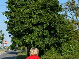 Start Am Sandhöfer Weg Start Am Sandhöfer Weg