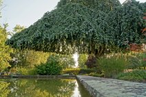 Alter Friedhof Brunnen Alter Friedhof Brunnen