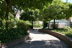 Satonévri Platz (vor Stadtbibliothek) Weg von Bäumen beschattet