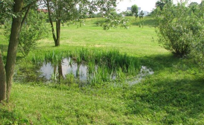 Sickermulden Sickermulden