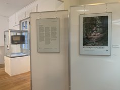 Blick in die Ausstellung auf Plakate