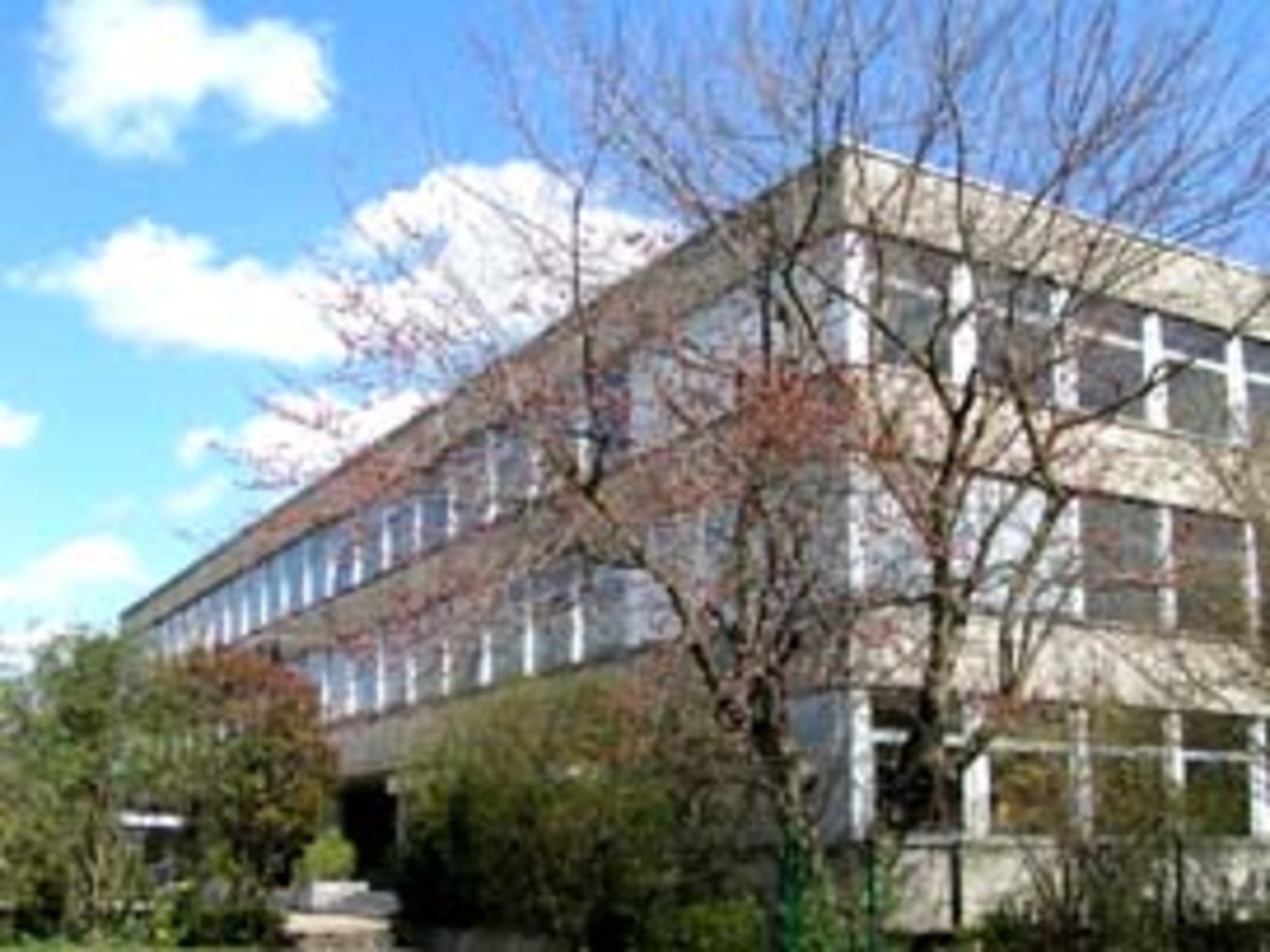 Bild: Albertus Magnus Gymnasium Bild: Albertus Magnus Gymnasium