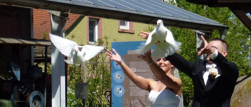 Brautpaar lässt Tauben fliegen