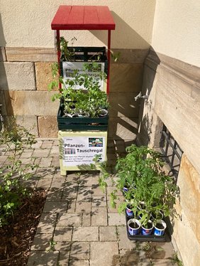 Pflanzenrauschregal Museum Pflanzenrauschregal Museum