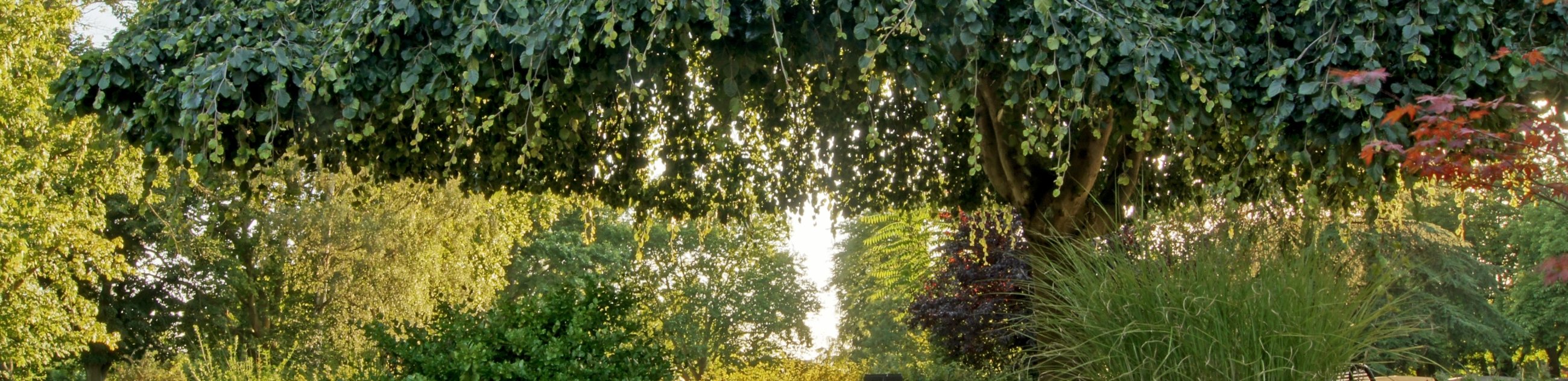 Alter Friedhof Teich Alter Friedhof Teich