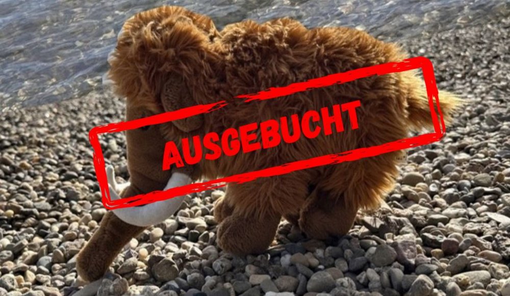 Ein braunes Plüschmammut mit langem, zotteligem Fell, großen Ohren, einem Rüssel und weißen, gebogenen Stoßzähnen steht auf einem Kiesweg. Im Hintergrund ist Wasser zu sehen. Darüber der Schriftzug "Ausgebucht"