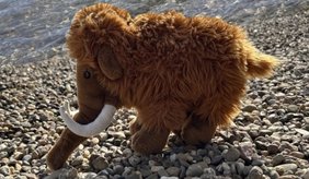 Ein braunes Plüschmammut mit langem, zotteligem Fell, großen Ohren, einem Rüssel und weißen, gebogenen Stoßzähnen steht auf einem Kiesweg. Im Hintergrund ist Wasser zu sehen.