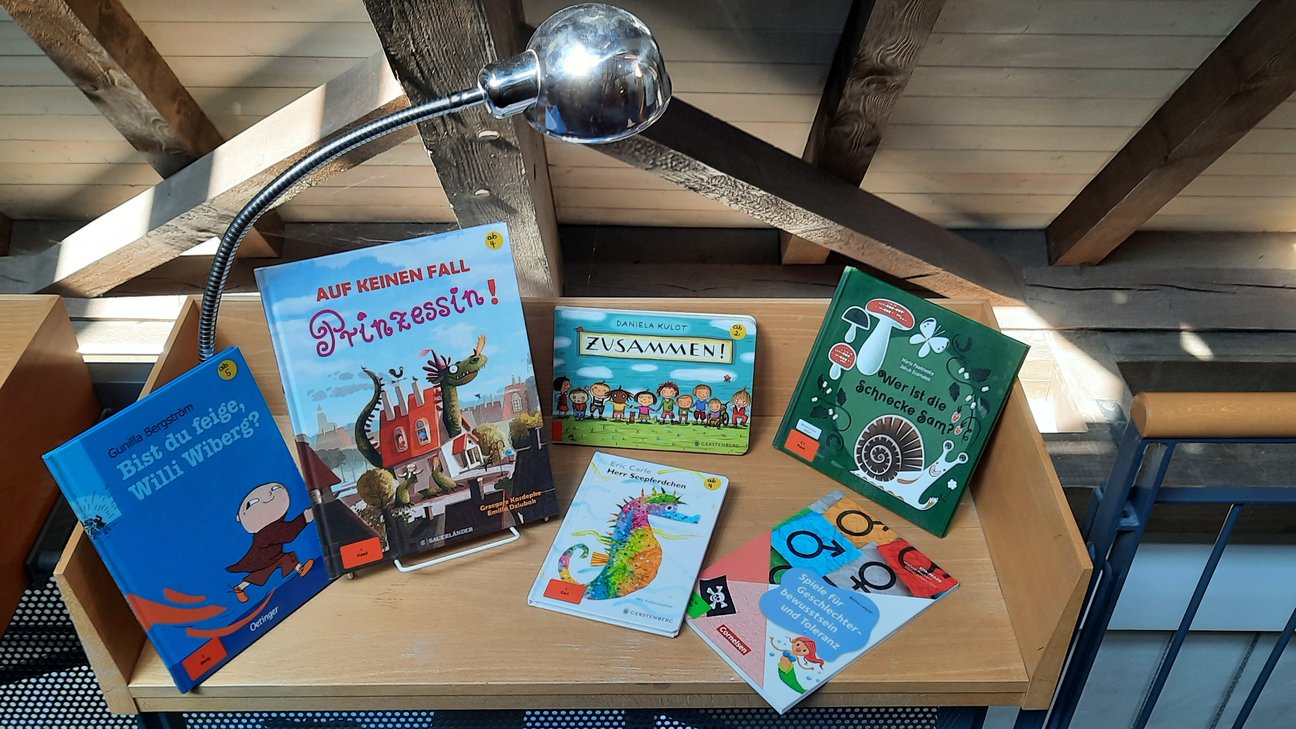 Medienkoffer „Faire Rollenbilder“ Bücher liegen auf einem Holztisch