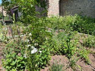 Mustergarten Mustergarten