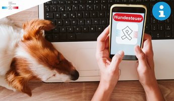 Handy mit ViernheimApp-Symbol und Hund