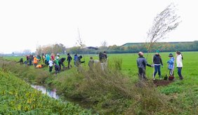 Kinder und Jugendliche die an einem Graben Bäume pflanzen