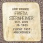 Frieda Sternheimer, Rathausstraße 34 Frieda Sternheimer, Rathausstraße 34