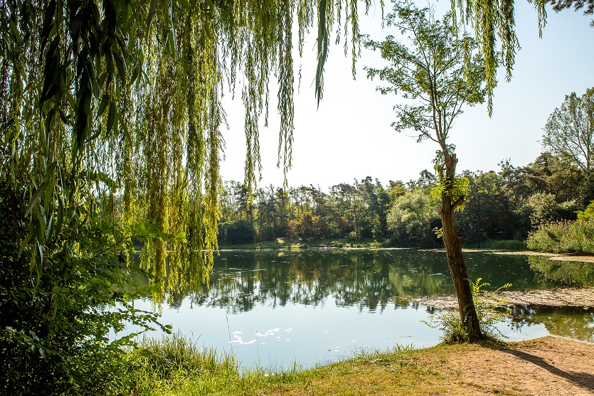 Das kommende Sport im Park-Special bietet Meditation in idyllischer Atmosphäre am Anglersee. ©Stadt Viernheim